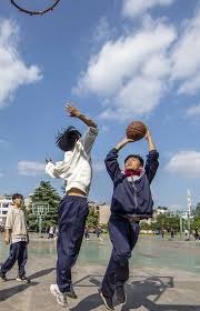 德甲赛程安排与赛果