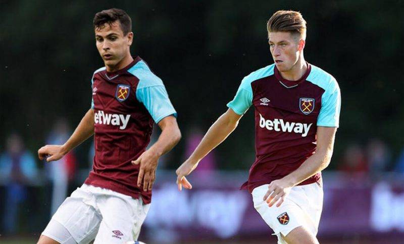 和多點開花 和多點開花