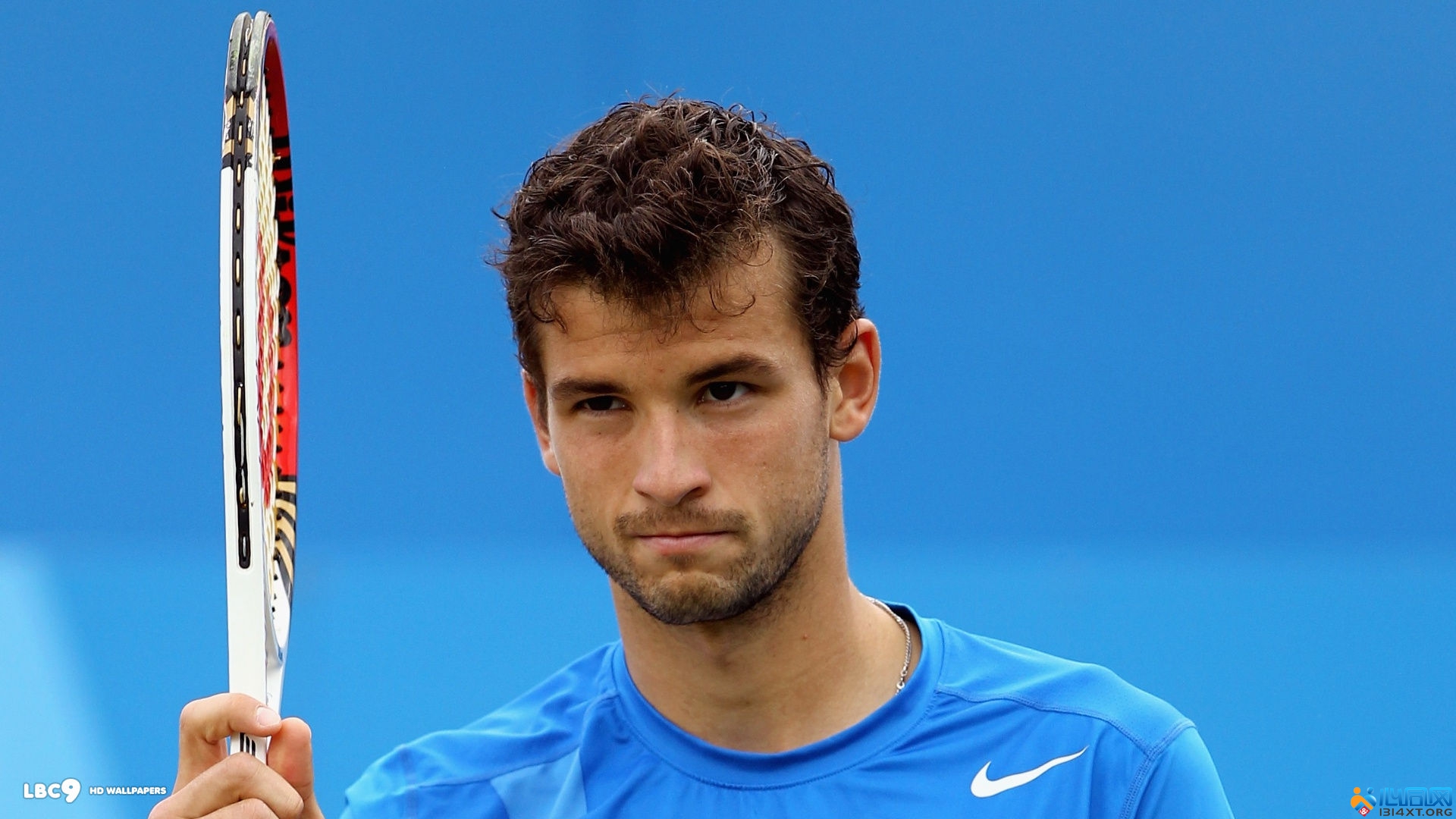 社交媒体上 社交媒体上