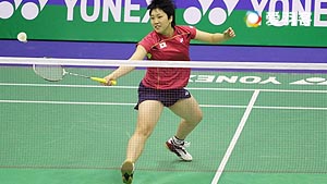 黑马与荷甲 黑马与荷甲